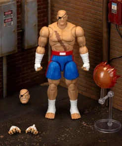 Alternative view of Sagat Street Fighter II Jada