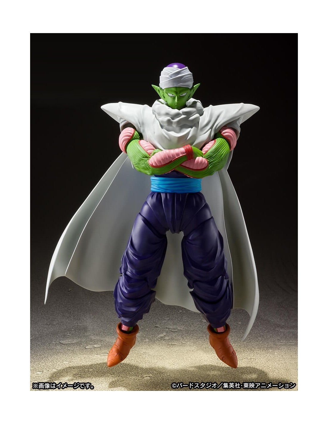 Piccolo (The Proud Namekian) SH Figuarts Dragon Ball Z